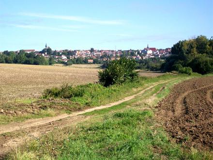 Dammartin-en-Goële Image