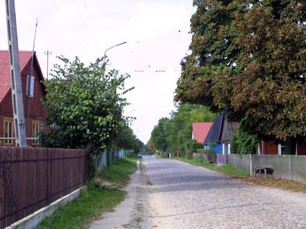 Tokary Image