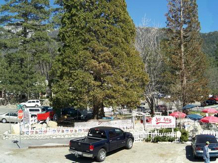 Idyllwild-Pine Cove Image