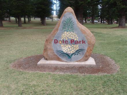 Lāna‘i City Image
