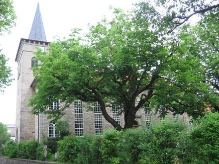 Dransfeld Image