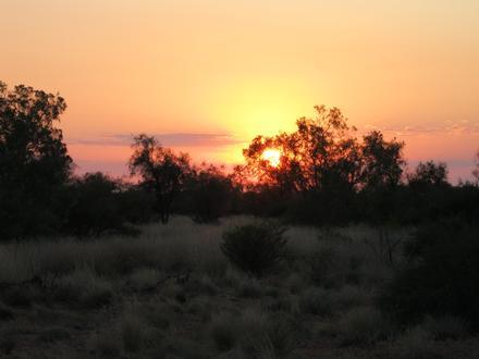 Windorah Image