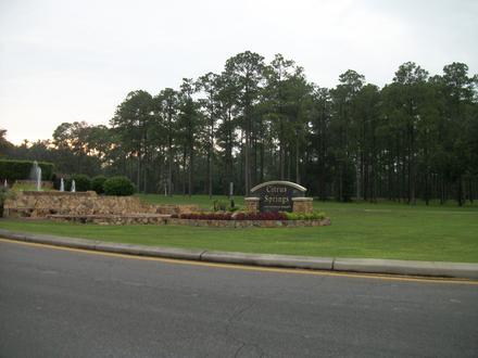 Citrus Springs Image