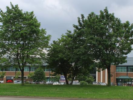 Dearborn Heights Image