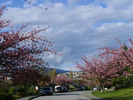 Burnaby Image