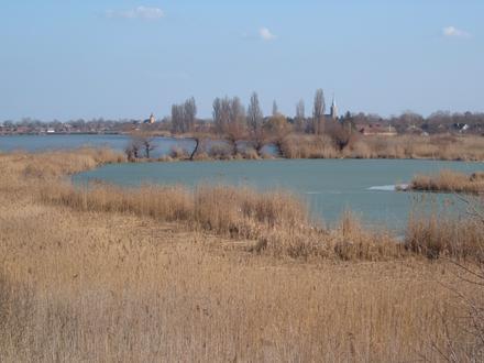 Bačko Gradište Image