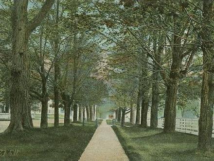 Orford Image