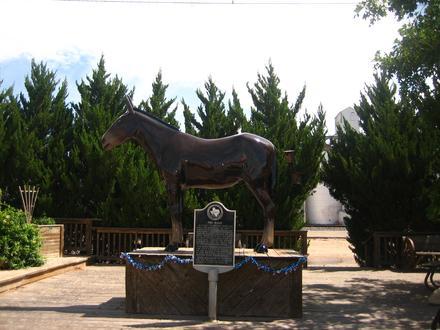 Muleshoe Image
