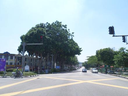 Sungai Udang Image