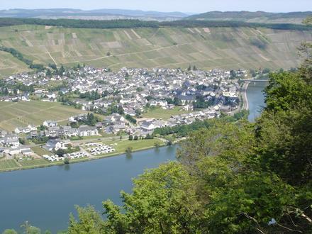Mehring Image