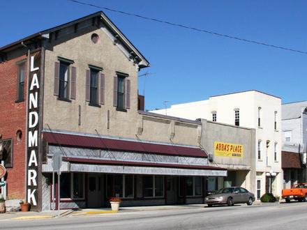 Mulberry Image