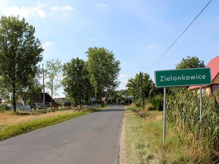 Zielonkowice Image