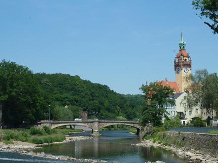 Waldheim Image
