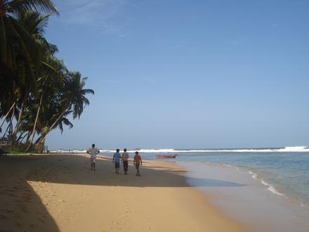 இக்கடுவை Image