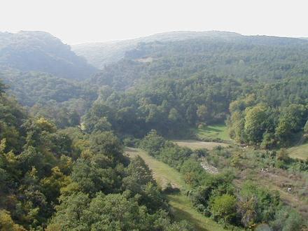 Hrabrino Image