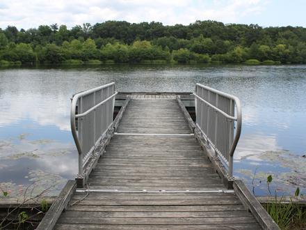 Lakewood Image