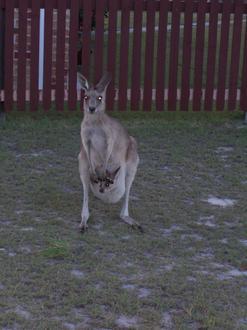 Woodgate Image