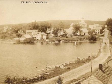 Sedgwick Image
