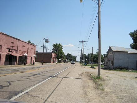 Black Oak Image