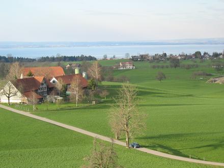Wittenbach Image