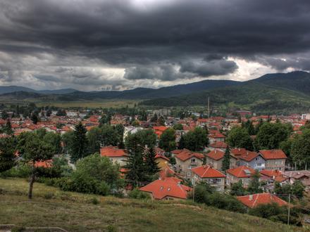 Welingrad Image