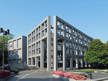 Saitama Image