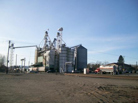 Ferndale Image