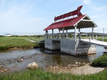 Flower's Cove Image