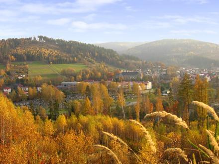 Rajcza Image