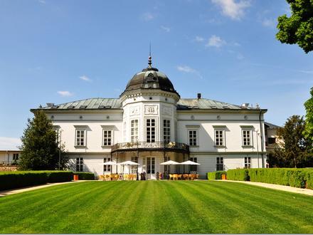 Beladice Image