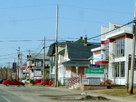 Palmarolle Image
