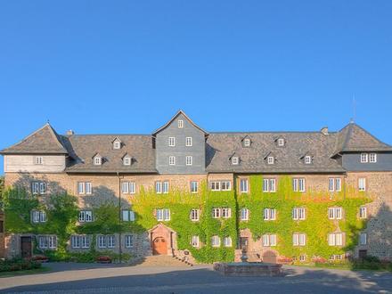 Lauterbach Image