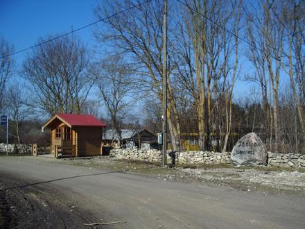 Tõnija Image