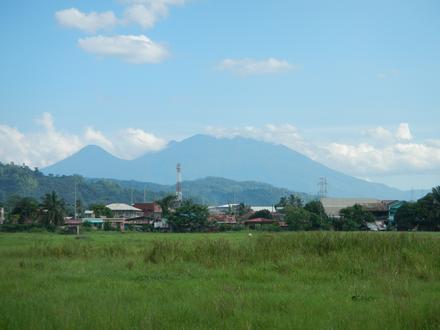 Lumbang Image