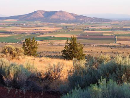Culver Image