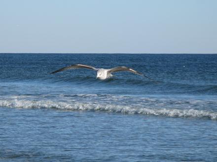 Sunset Beach Image