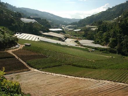 Bertam Valley Image