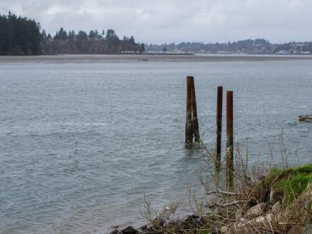 Yaquina Image