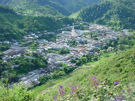La Celia Image