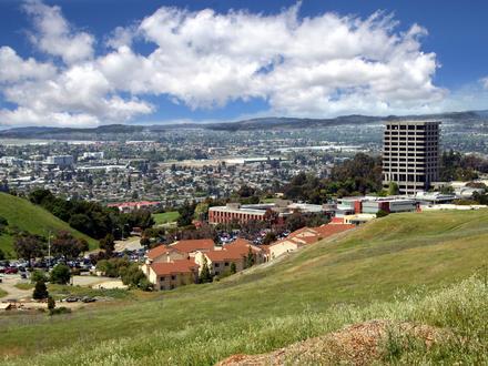 Hayward Image