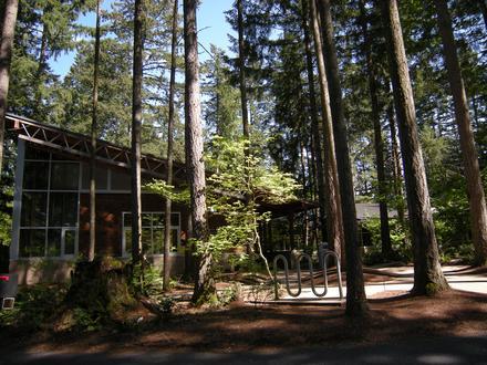 Maple Valley Image
