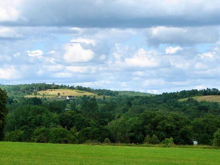 Harwood Image