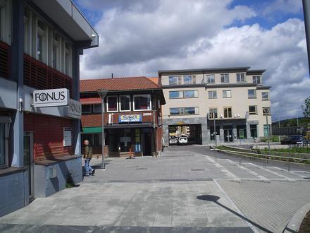 Partille kommune Image