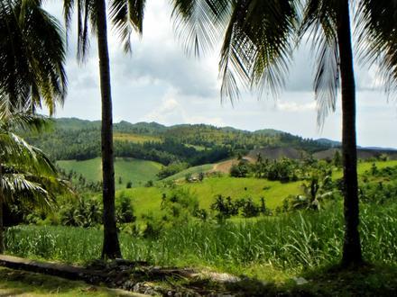 Sogod Image