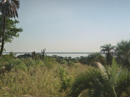 Lavalle Image