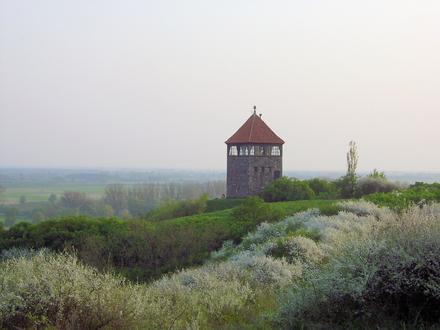 Santok Image