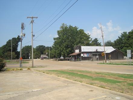 Colt Image