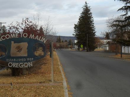 Malin Image