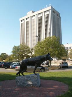 Hauppauge Image