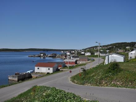 Port Saunders Image